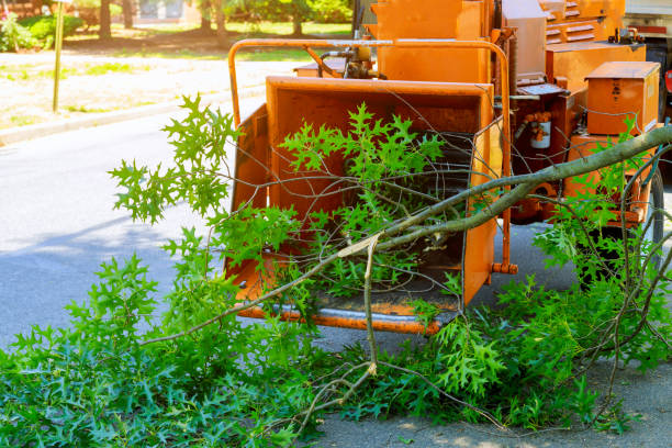 Best Lawn Maintenance Plans  in Mount Union, PA